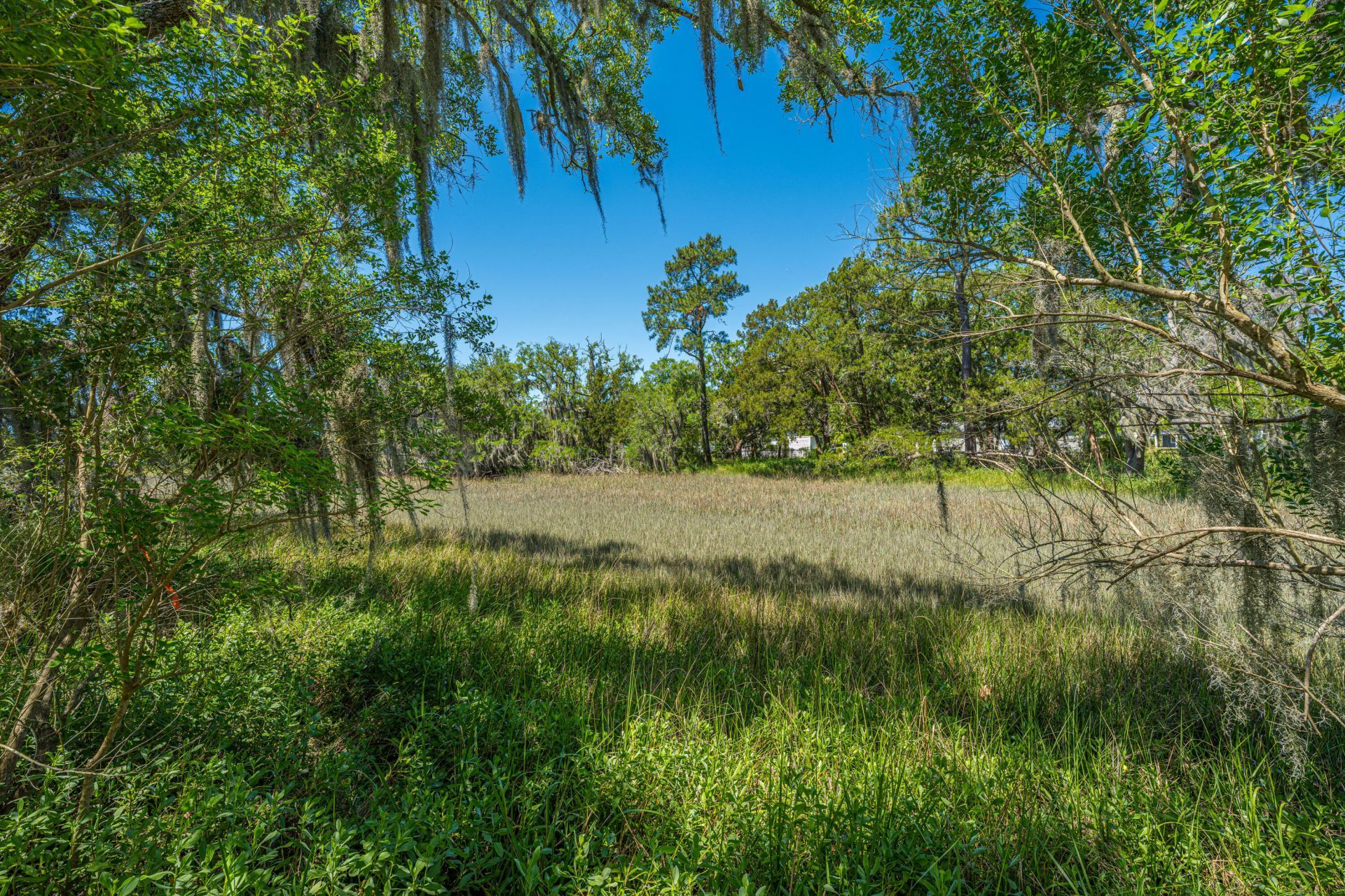 301 Mcclain Street Photo 21