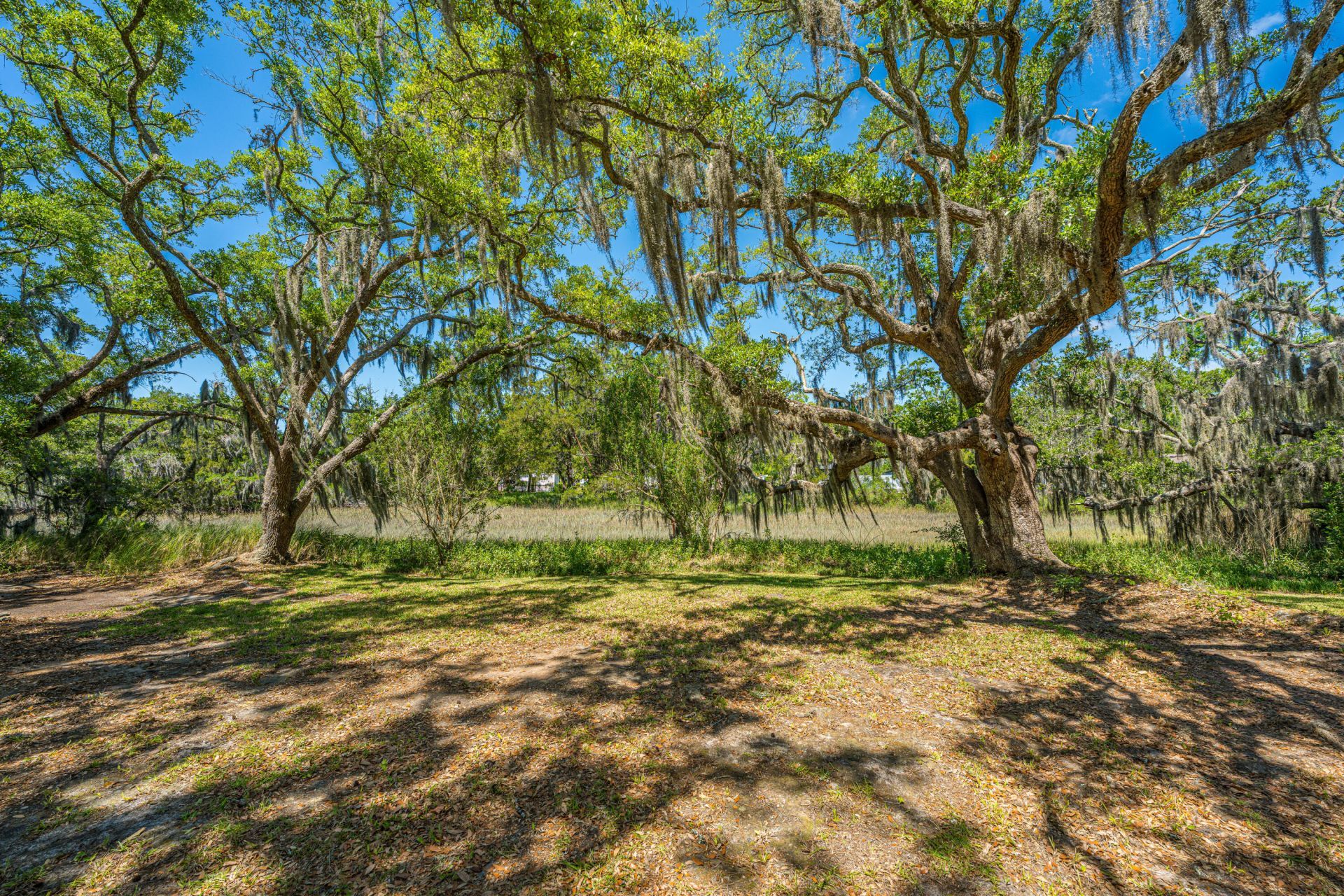 301 Mcclain Street Photo 30