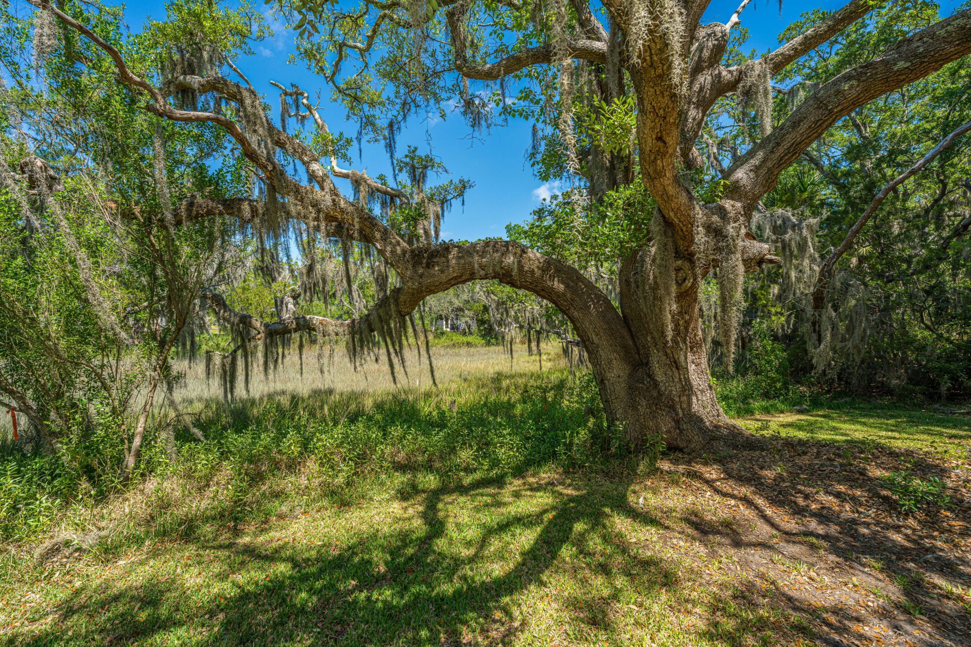 301 Mcclain Street Photo 31