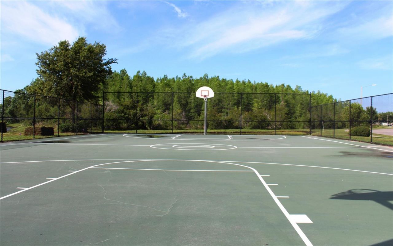 18021 Atherstone Trail , Land O Lakes, FL 34638 Photo