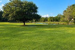 164 Sparrow Road photo 4