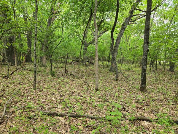 Lot Oxbow Trail, Princeton, WI 54968