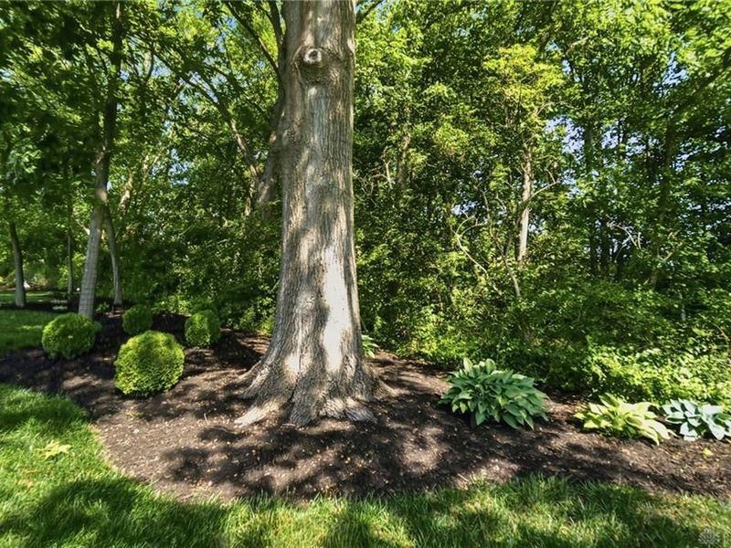 915 Hidden Branches Drive, Washington Township, OH 45458 Photo 65