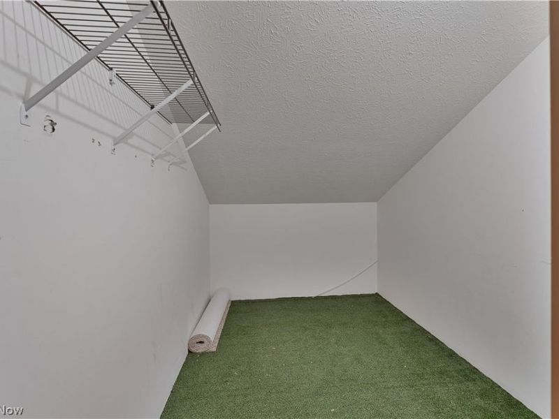 1341 Fox Run Drive, Youngstown, OH 44512 Photo 24