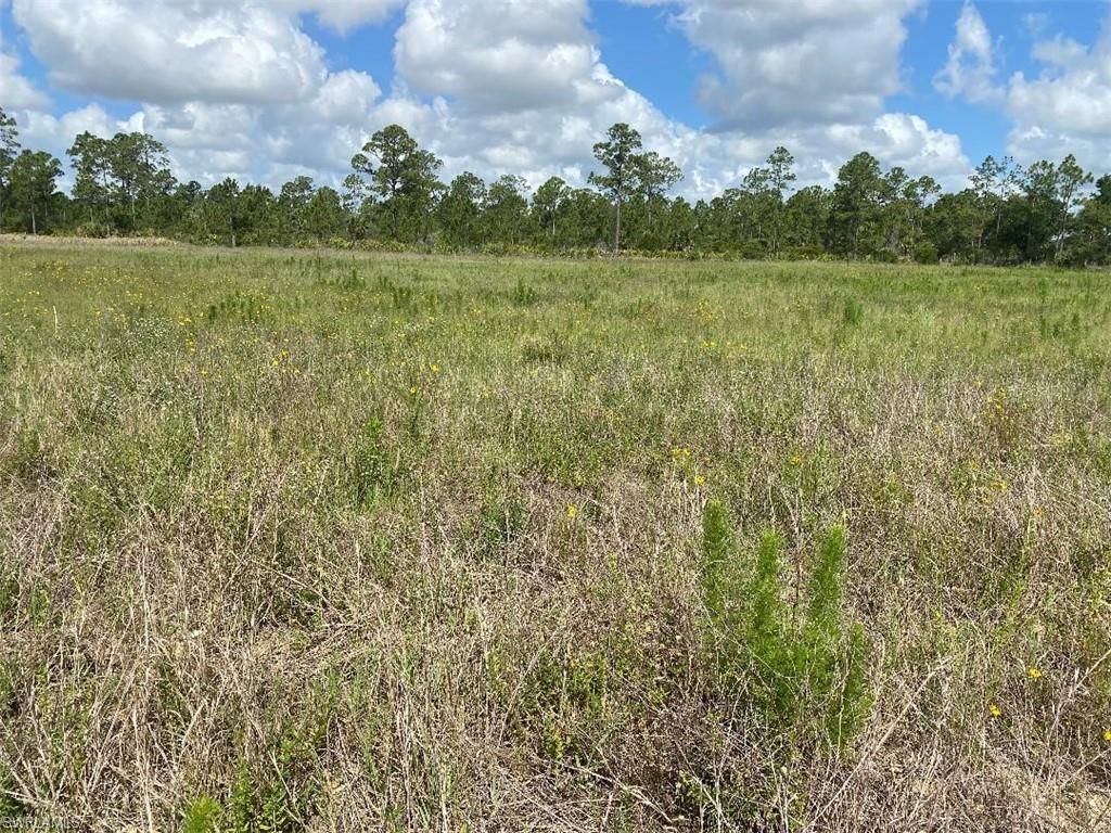 577 Kirby Thompson Rd , Fort Denaud, FL 33935 Photo