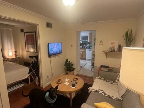 57 Cedar St, Unit 6, Cambridge, MA 02140