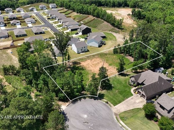 0 Tuliptree Lane, Northport, AL 35475