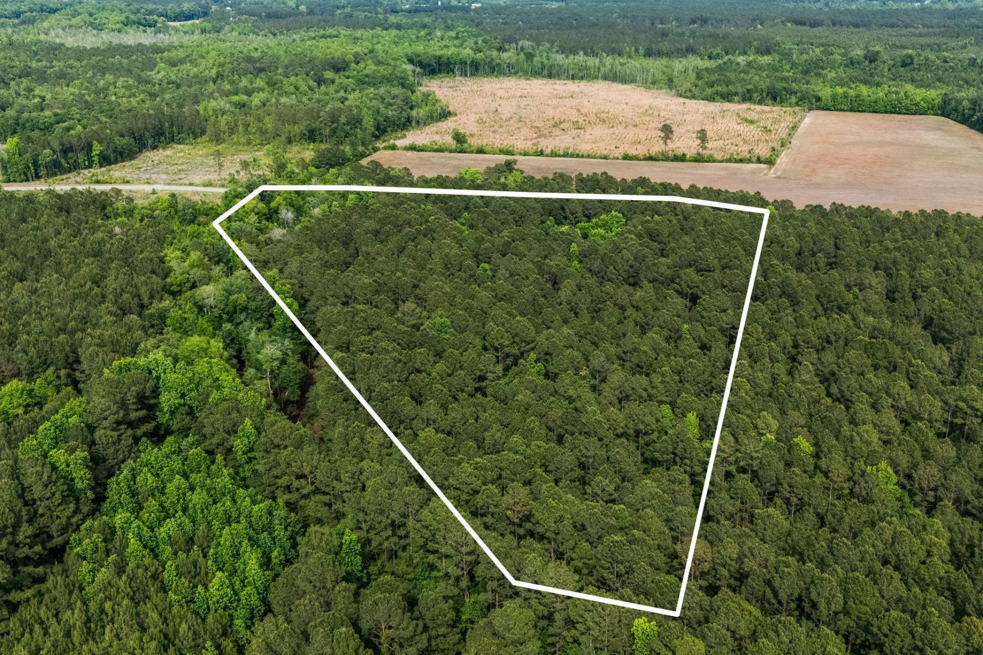 2850 Gause Rd.  Photo 11