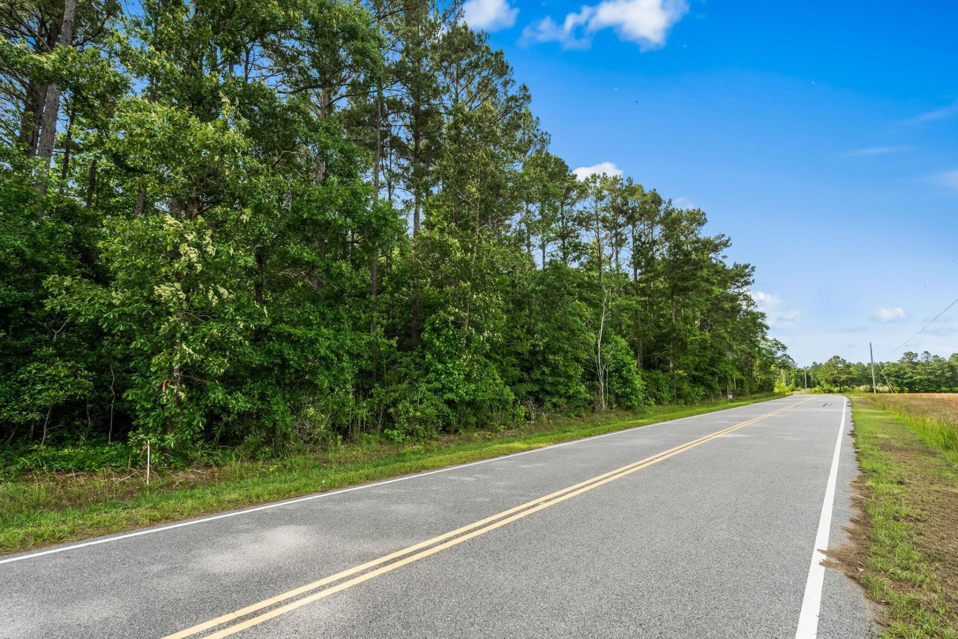 2850 Gause Rd.  Photo 13