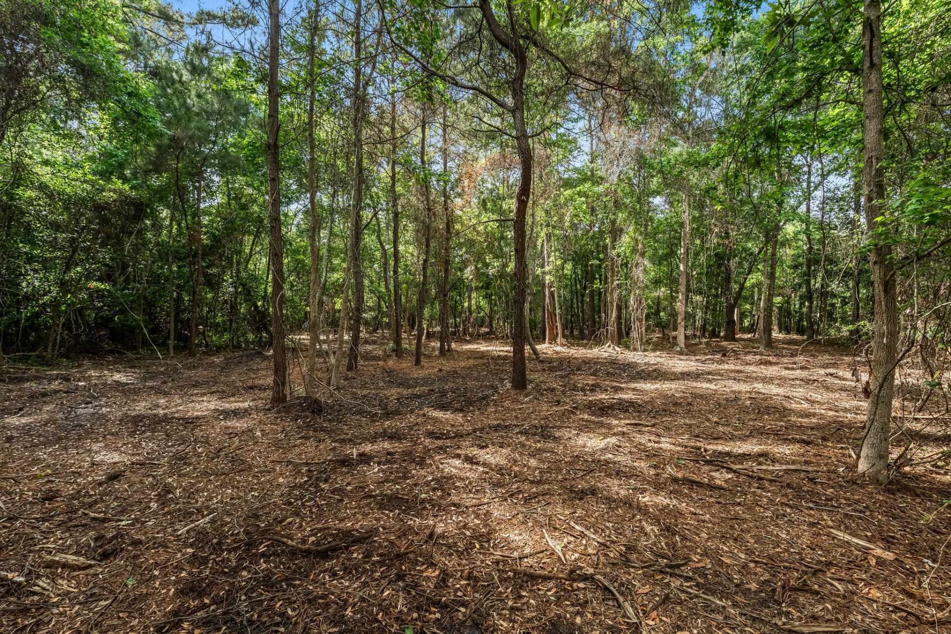 2850 Gause Rd.  Photo 17