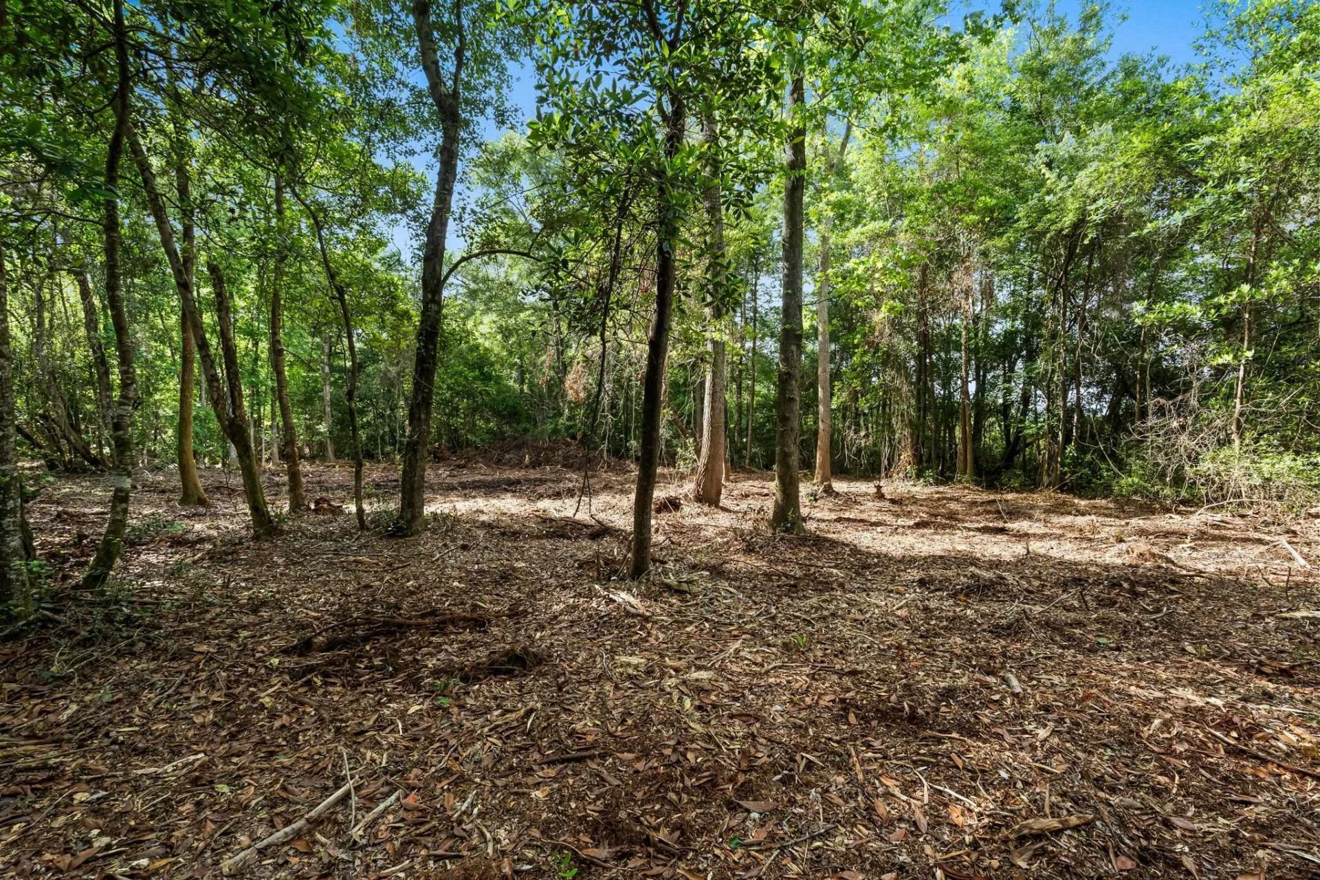 2850 Gause Rd.  Photo 18