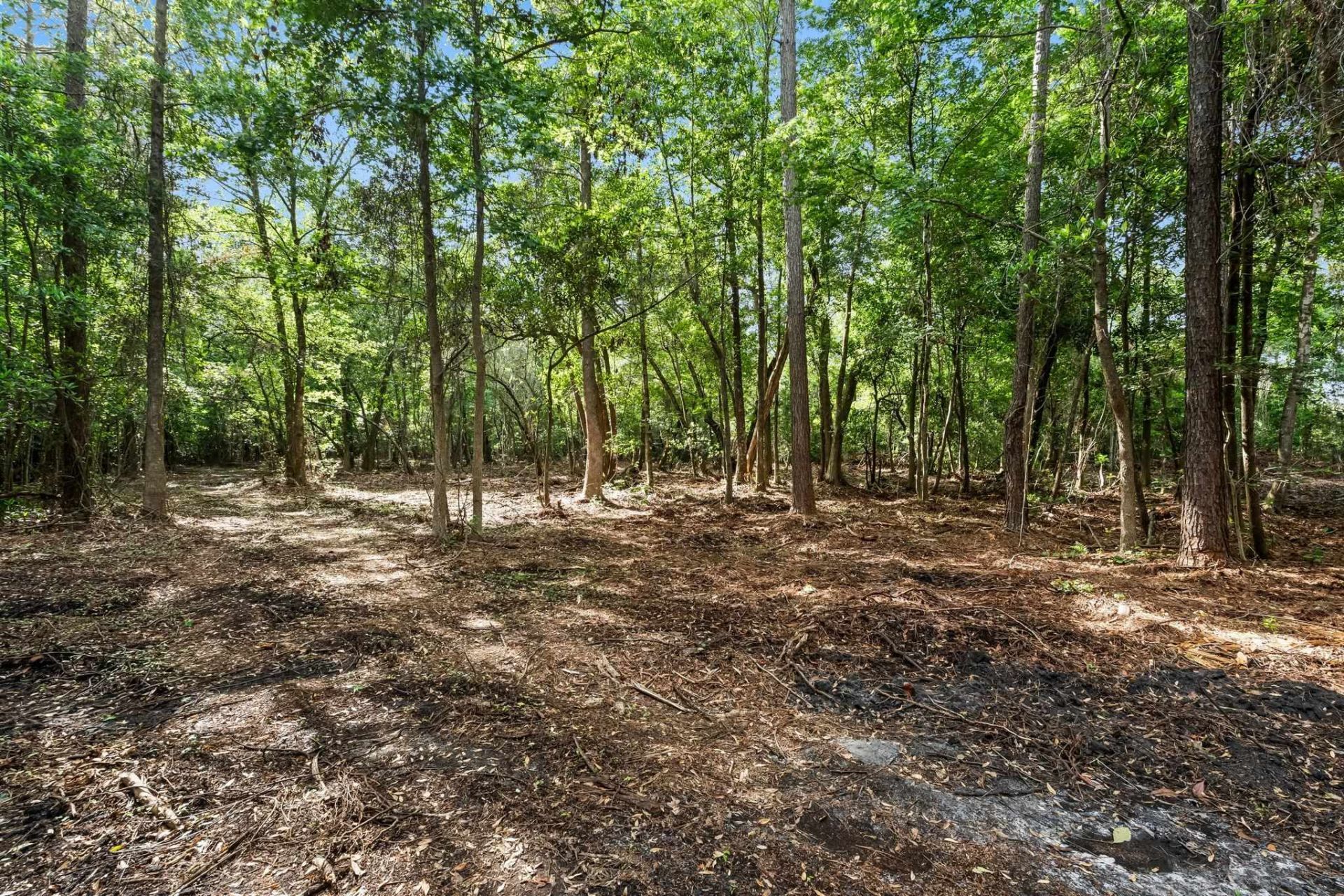 2850 Gause Rd.  Photo 19