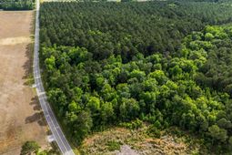 2850 Gause Rd.  photo 4