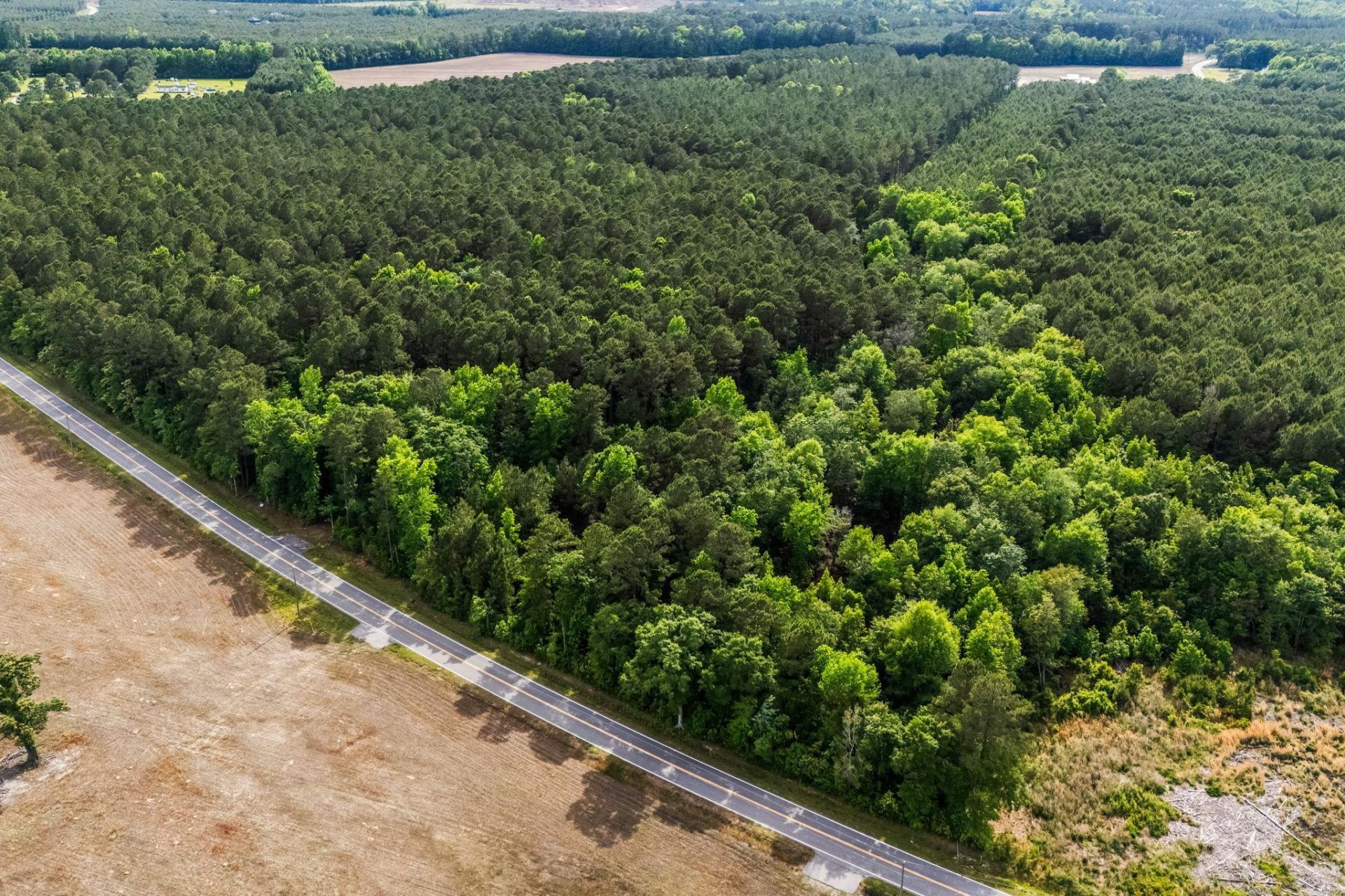 2850 Gause Rd.  Photo 6