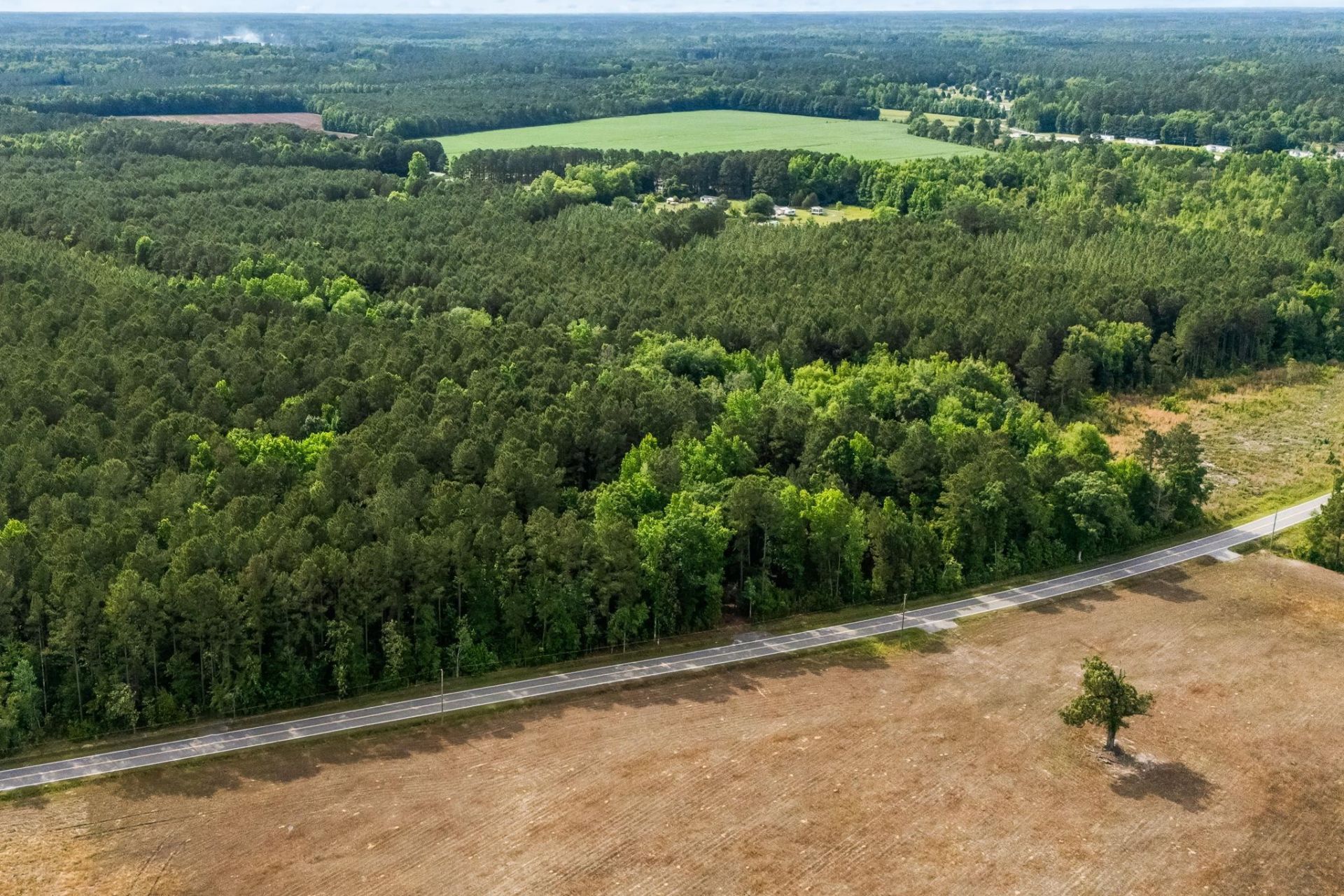 2850 Gause Rd.  Photo 9