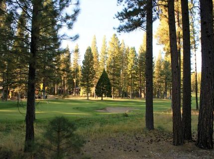 44 Black Bear Trail, Clio, CA 96106 Photo