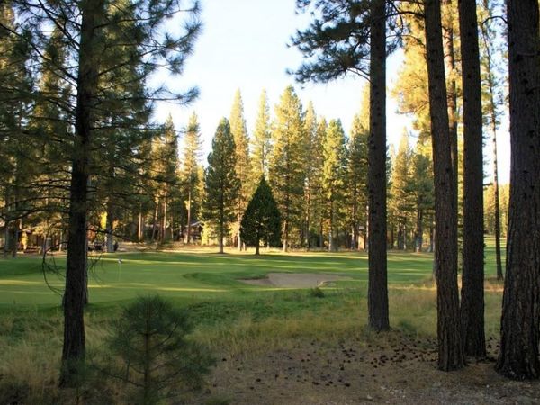 44 Black Bear Trail, Clio, CA 96106