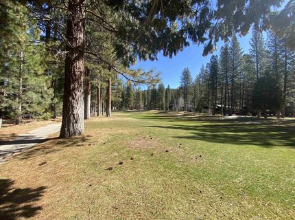 44 Black Bear Trail, Clio, CA 96106 Photo