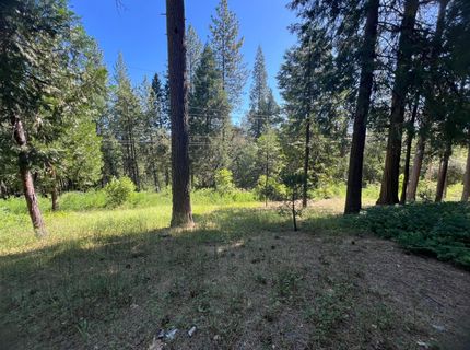 13706 Paelo Ln, Pine Grove, CA 95665 Photo