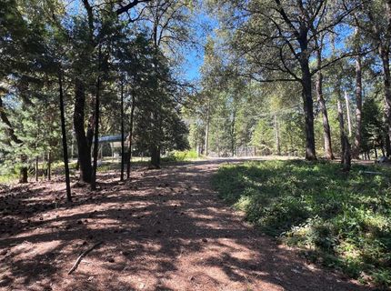 13706 Paelo Ln, Pine Grove, CA 95665 Photo