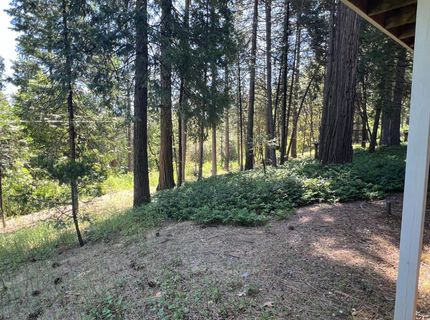 13706 Paelo Ln, Pine Grove, CA 95665 Photo