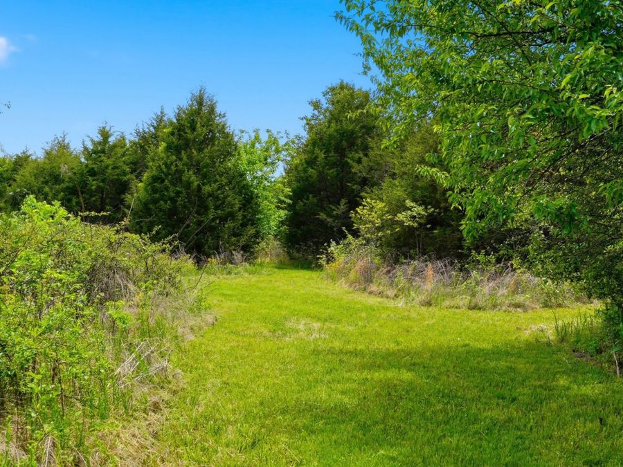 Property Image 32