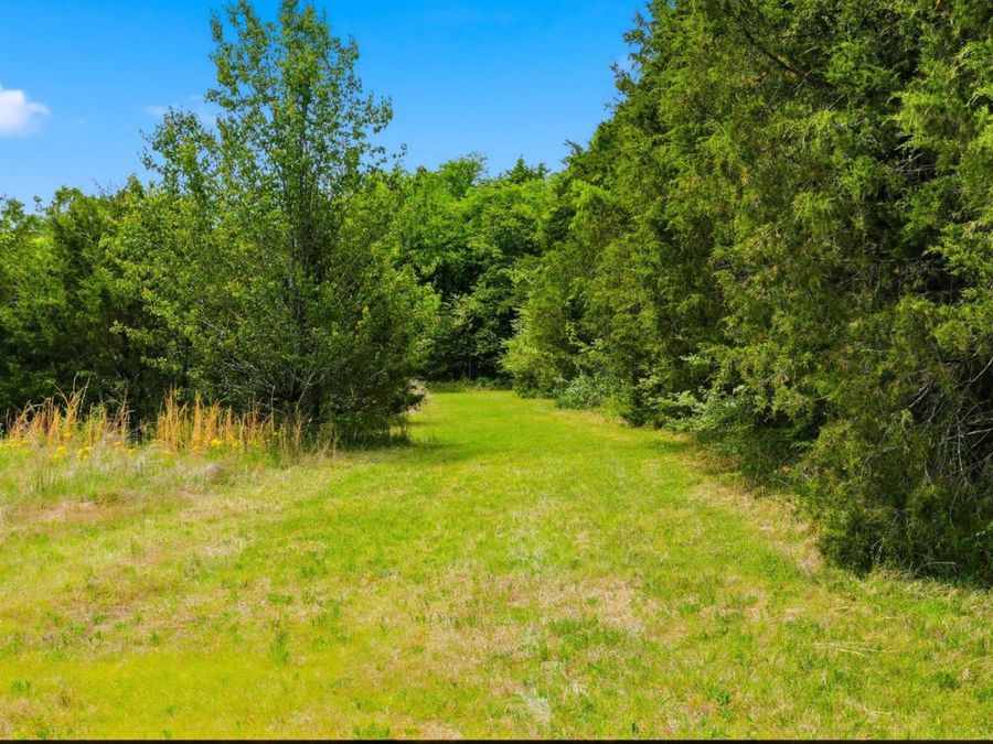 Property Image 33