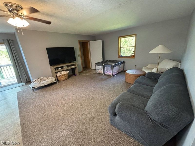 6060 Dalton Fox Lake Road, North Lawrence, OH 44666 Photo 14