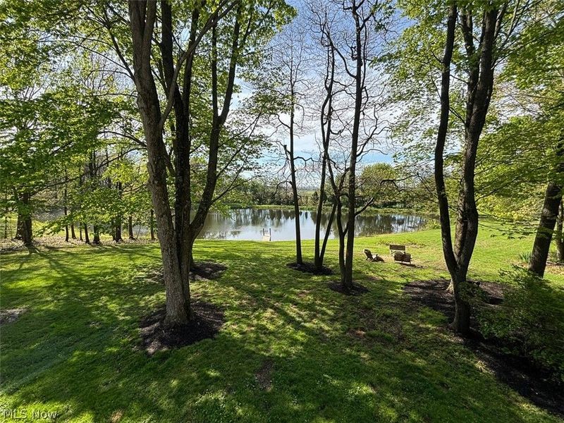 6060 Dalton Fox Lake Road, North Lawrence, OH 44666 Photo 31