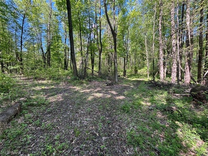 6060 Dalton Fox Lake Road, North Lawrence, OH 44666 Photo 35