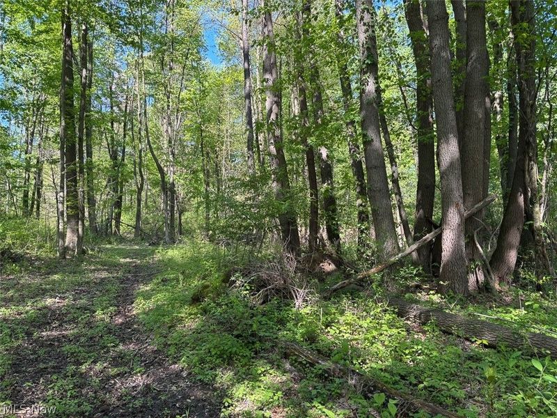 6060 Dalton Fox Lake Road, North Lawrence, OH 44666 Photo 36