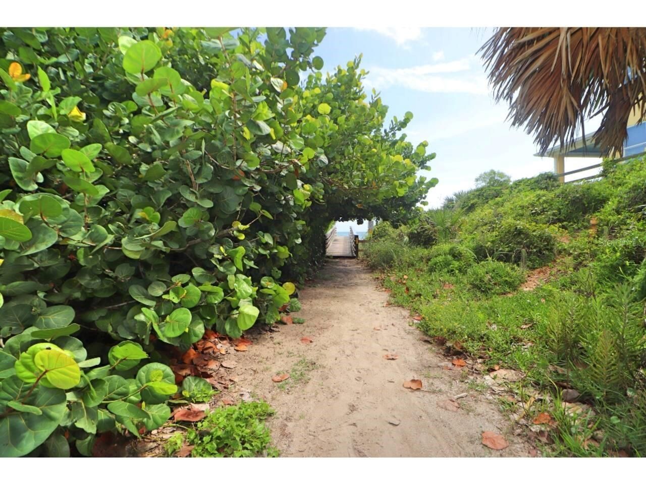 906 E 11th Avenue , New Smyrna Beach, FL 32169 Photo