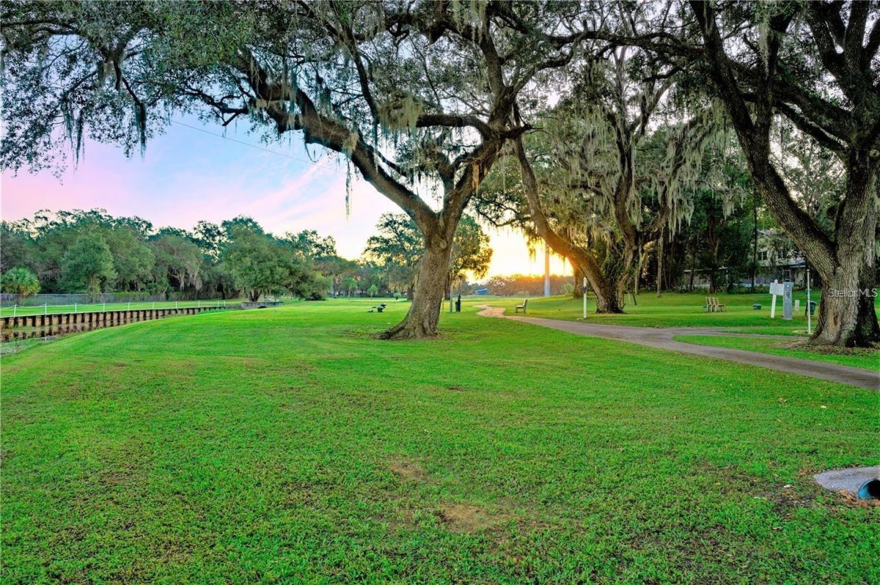 36831 Grace Avenue , Zephyrhills, FL 33542 Photo