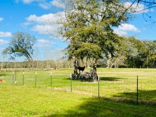 10 SW 50th Avenue , Bell, FL 32619 Photo
