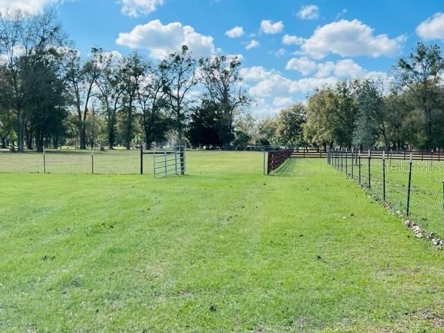 10 SW 50th Avenue , Bell, FL 32619 Photo