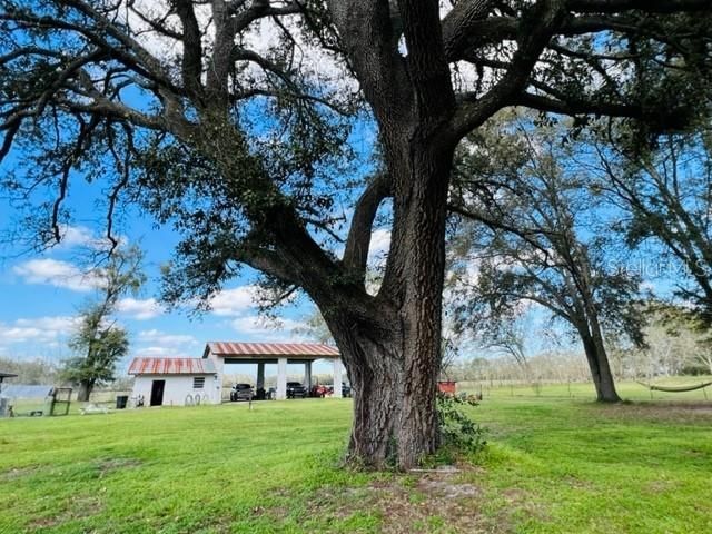 10 SW 50th Avenue , Bell, FL 32619 Photo