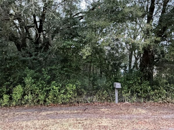 0 SE 143RD PLACE , SUMMERFIELD, FL 34491