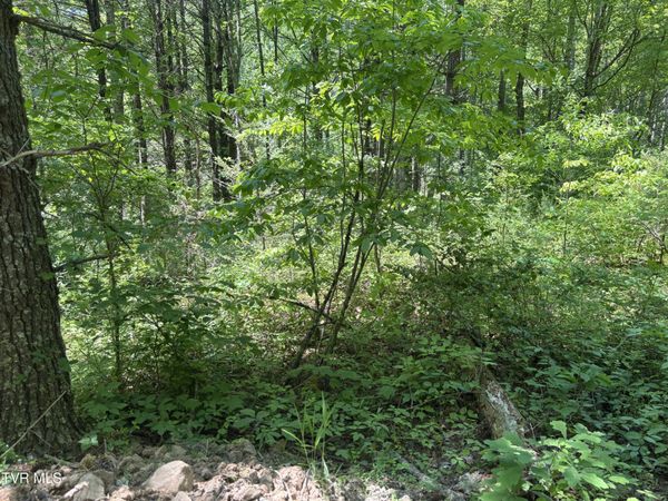 889 Hide Away Drive, Butler, TN 37640