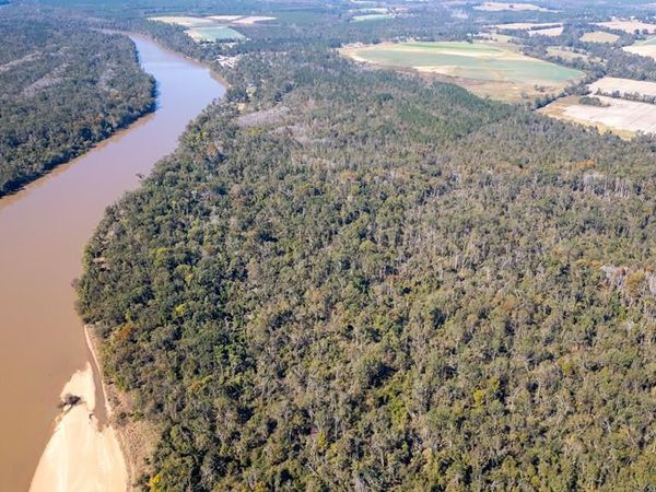 0 Grays Landing Road, Uvalda, GA 30473