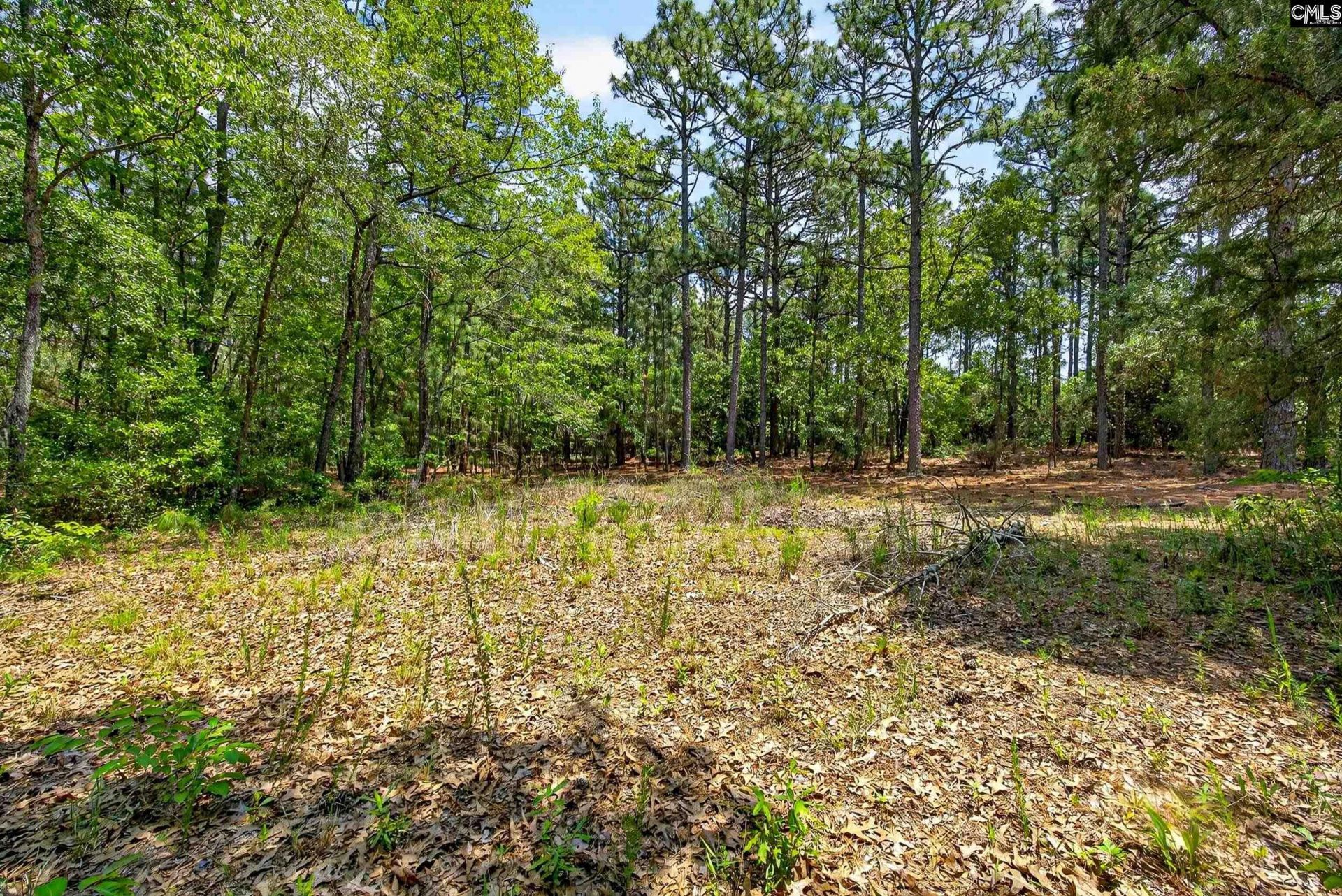 614 Longs Pond Road  Photo 72