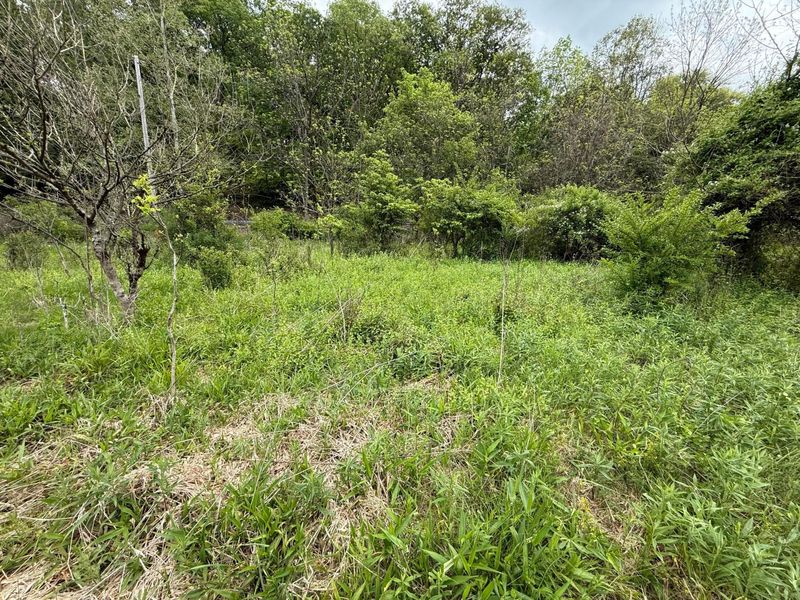 0 Reed Road , Logan, OH 43138 Photo 7
