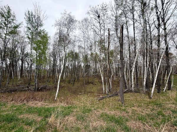 L17B1 Acorn Ridge Road NW, Bemidji, MN 56601