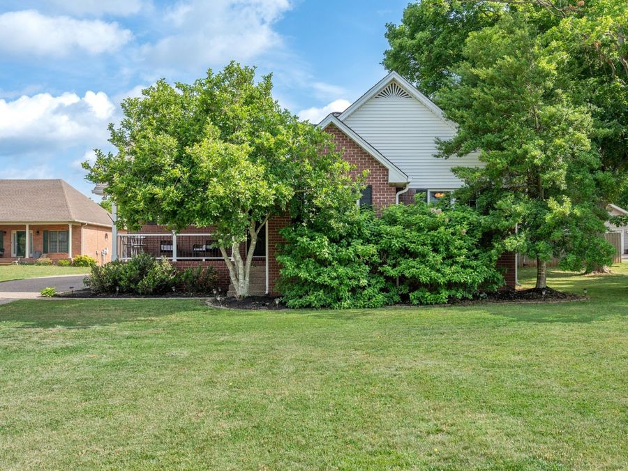 Property Image 49