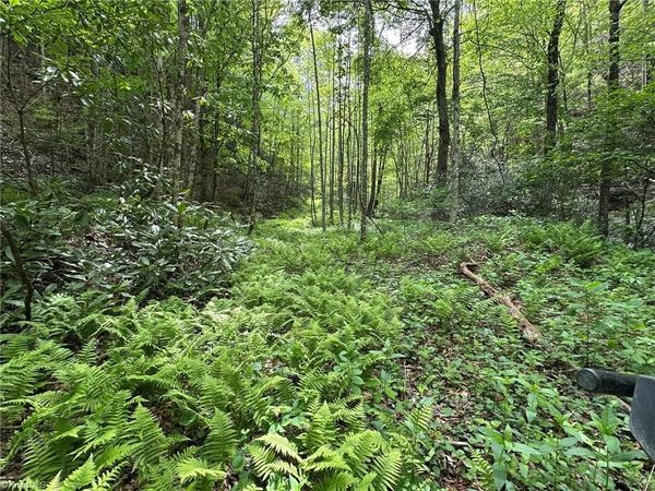 0000 N Old NC Highway 16, Millers Creek, NC 28651