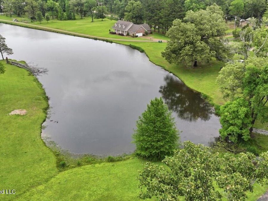 Property Image 59