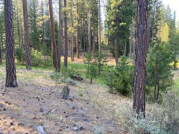 235 Black Bear Trail, Clio, CA 96103