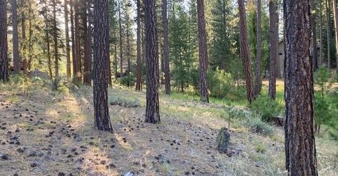 235 Black Bear Trail, Clio, CA 96103 Photo