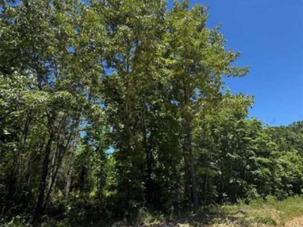 49 Hillside Way, Watson, OK 74957