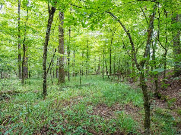 1 Camino Road , Hot Springs Village, AR 71909