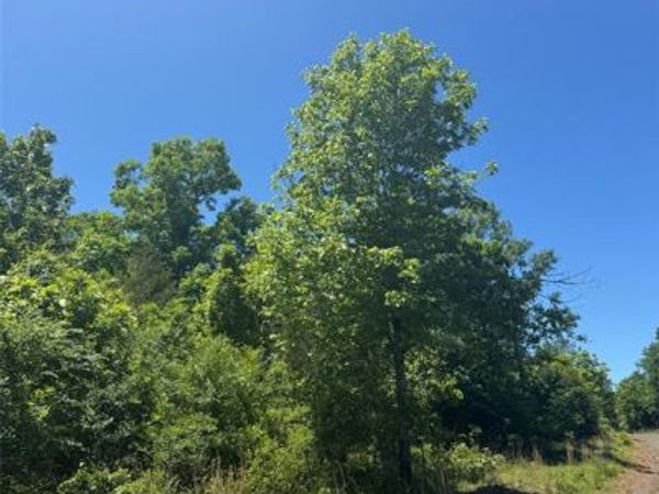 57 Vista Ridge Trail, Watson, OK 74957